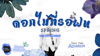 ดอกไม้ที่รอฝน spring  The TOYS x NONT  Re  Arrange COVER   Dream Krissada 【Aquarium Loop】 [upl. by Gayla602]