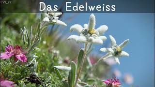 Das Edelweiss Lyrics [upl. by Pestana893]