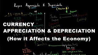 Currency Appreciation amp Depreciation  How it Affects the Economy  Economics [upl. by Maccarone]