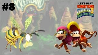 kitteh CoOps Donkey Kong Country 2 8  Could This BEE Any More Annoying p [upl. by Ynabe]