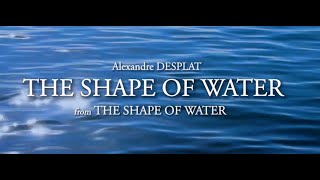 Alexandre Desplat  The Shape Of Water String quartet cover [upl. by Adnalram]