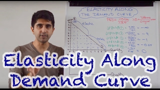 Y1 42 Elasticity Along The Demand Curve [upl. by Oleg]