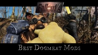 Fallout 4 Mods  Best Dogmeat Mods [upl. by Eiwoh108]