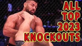 All Top Knockouts 2023 in MMA [upl. by Neerhtak345]