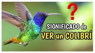 Significado de VER un COLIBRÍ ❤️  Que significa el Colibrí [upl. by Wardle]