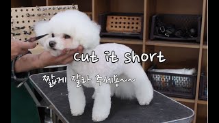 짧게 잘라 주세요 Cut it short [upl. by Aylad]