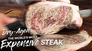 1 Million Special DRY AGE Most EXPENSIVE Steak on Earth  Guga Foods [upl. by Adda706]