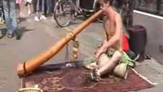 BUSKER on DIDGERIDOO [upl. by Briggs]