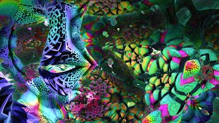 An Interdimensional Journey  Psychedelic Fractal Visuals for Deeper Understanding  New 2022 [upl. by Osithe]