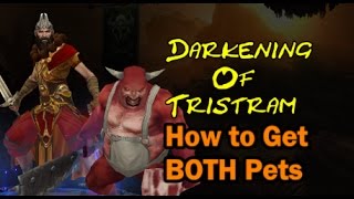 Diablo 3 season 9 How to Get BOTH pets in Darkening of Tristram [upl. by Ewolram778]