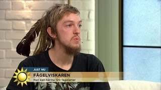 Han kan härma 120 fågelarter  Nyhetsmorgon TV4 [upl. by Ellerahs]