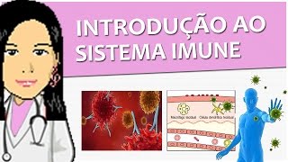 Imunologia 01  Introdução ao Sistema Imune imunidade passiva ativa inata adquirida  Vídeo aula [upl. by Anidnamra]