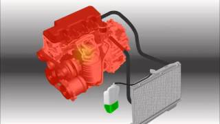 Cooling System [upl. by Swithin]