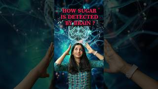 How sugar is detected by brain neet csirnet sugar diabetes science sciencefact gate biology [upl. by Suryt]