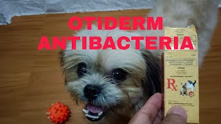 OTIDERM EARDROPS ANTIBACTERIA For Dog amp CatMabisa Ito sa mga Mabaho nga Ears Nila [upl. by Einnahpets538]