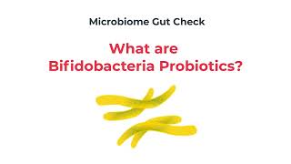 Bifidobacteria Probiotics Explained [upl. by Lew]