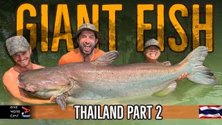 GIANT FISH Thailand Part 2  Ali Hamidi  Siamese Carp Mekong Catfish and MORE  One More Cast [upl. by Ellednek]