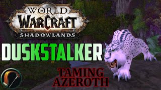 Duskstalker  Taming Azeroth Episode 29 [upl. by Assetak53]