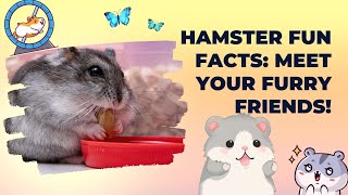 Tiny Adventurers Fun Facts About Hamsters Educational Video for Kids [upl. by Allerus986]