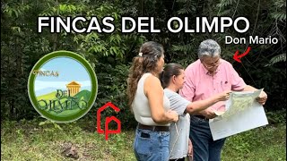 FINCAS DEL OLIMPO  6178 m2 en  100000000 Separación con 1 millón [upl. by Singhal37]