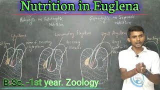 Lc10Nutrition in Euglena BSc 1st yearZoology byPrahalad Sir [upl. by Lida]