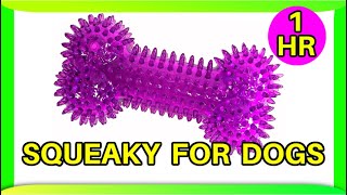 Squeaky toy sounds 1 hour dogs [upl. by Delp]