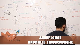 Aneuploidie ed anomalie cromosomiche [upl. by Rednasyl200]