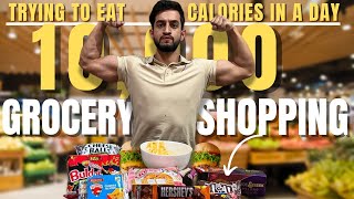 Eating 10000 Calories In A Day Challenge  Grocery Shopping  Vlog 02 [upl. by Robbi]