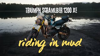 Mud session onTRIUMPH SCRAMLBER1200XE triumphscrambler triumphenduroshreddingsenditbikelife [upl. by Hadeis236]