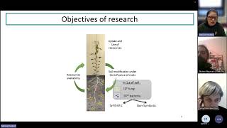 ILSWs2e02 Pea resilience to drought [upl. by Awad]