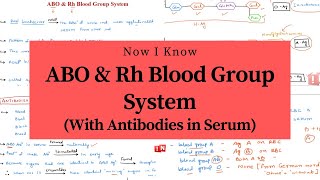 ABO and Rh Blood Group System Blood types ABO Antigens and Antibodies For Each Type in Serum [upl. by Adamson]