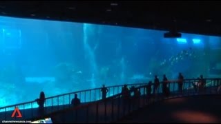 Worlds largest oceanarium in Singapore [upl. by Erine]