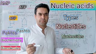 Nucleic acids  Nucleotides  Types of Nucleotides  ATP ADP  AMP Biology class 11 in Pashto [upl. by Merat860]