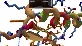 Disulfide Bonds [upl. by Kinsley]