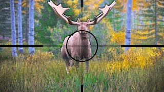 Hunting GIGANTIC Moose in Hunting Simulator 2 [upl. by Lingwood]