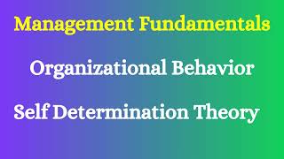 Self Determination Theory MotivationOrganizational Behavior [upl. by Trenna]