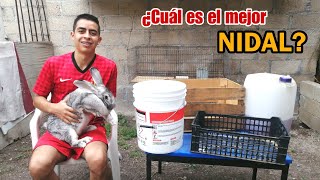 ¿Cómo hacer un NIDAL para Conejo Revelamos GANADOR del conejito 🐰🤠 [upl. by Aicela858]