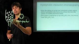 Topic 47  Hydrophobic interaction chromatography and chromatograms [upl. by Spragens]