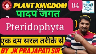 plant kingdom class 11  pteridophyta class 11 plant kingdom in hindi [upl. by Itch857]