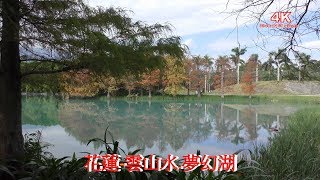 4K 花蓮雲山水夢幻湖 Hualien Villa Home落羽松又名落羽杉 Taxodium distichum4K Ultra HD [upl. by Assilrac]