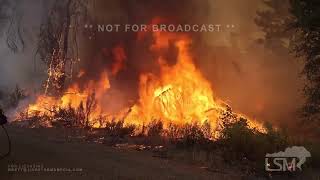 07292024 Manton CA  Park Fire  Close Range Retardant Drops Firing Operation Trees Torching [upl. by Meehan]