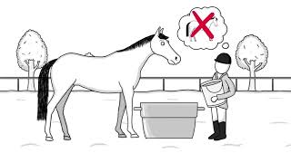 Laminitis in Horses [upl. by Irrab24]