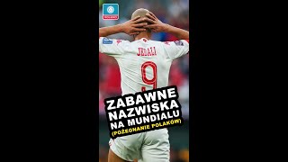 Zabawne nazwiska na mundialu Pożegnanie Polaków [upl. by Klute]