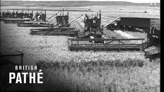 Wheat Harvest USA 1947 [upl. by Hasin]