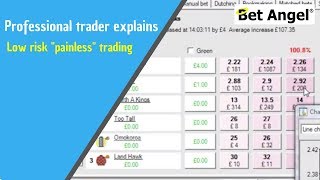 Betfair Trading Peter Webb professional trader explains how to do low risk quotpainlessquot trading [upl. by Proctor669]