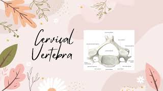 Cervical Vertebrae Anatomy Simplified My BAMS Journal anatomy bams ayurveda [upl. by Fornof]