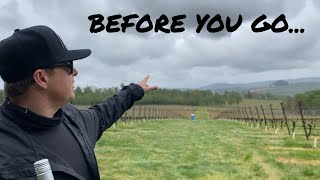 WHAT NO ONE TELLS YOU ABOUT OREGONS WILLAMETTE VALLEY 🤔🍷 [upl. by Prasad]