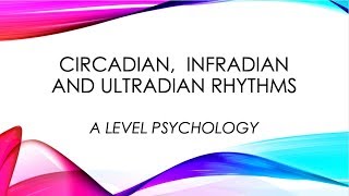 A LEVEL PSYCHOLOGY  CIRCADIAN INFRADIAN AND ULTRADIAN RHYTHMS [upl. by Aenneea106]