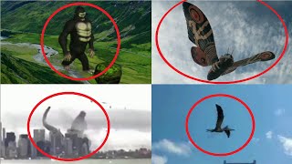 5 Godzilla Characters Caught on Camera amp Spotted in Real Life 6 [upl. by Ntisuj]