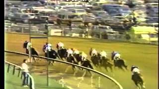 110th Preakness Stakes  May 18 1985 [upl. by Kaufmann]